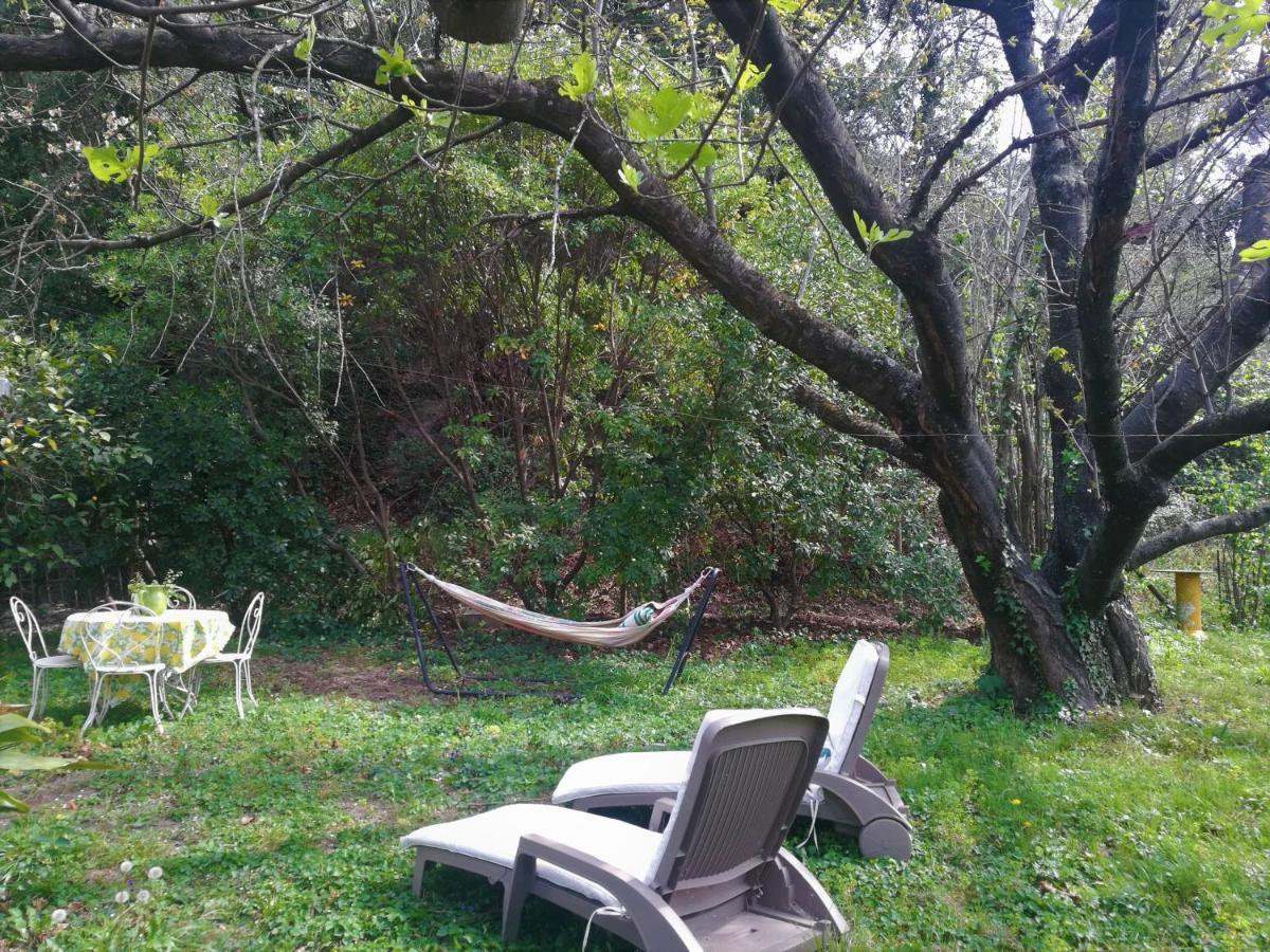 Joli Appartement Dans Villa Entre Nice Et L'Arriere Pays Castagniers Exteriör bild